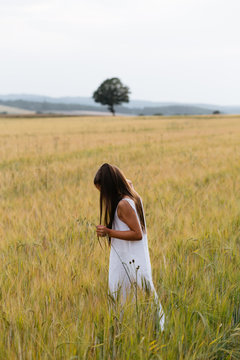 Little girl in white dress is  in the wheat field