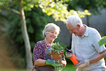 Senior couple potting plants