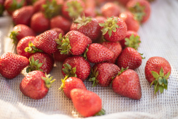 fresh strawberry from farm. Ripe red strawberries on table,