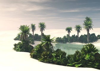 Oasis in the desert at sunset, a pond with palm trees in the sands under the sun, 3d rendering