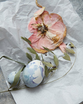 close-up White eggs on paper