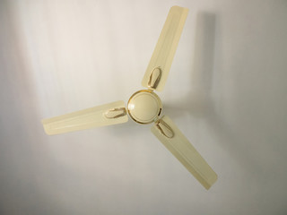 Fan with three blades on the white ceiling. Kochi, Kerala, India