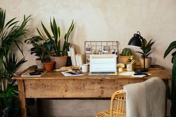 Vintage workspace full of plants.