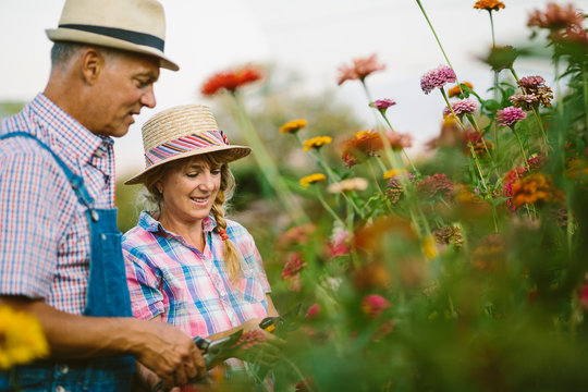 Mature couple working in the garden