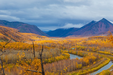 Small river, forest in autumn , Kamchatka, Russia.