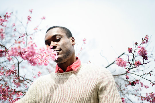 Portrait of man in cherry blossoms