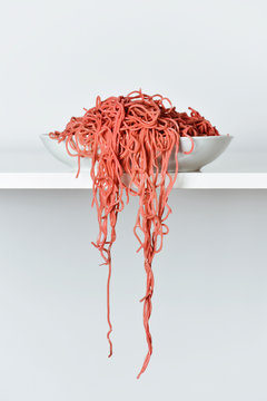 pink noodles