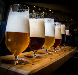 Cata de cervezas