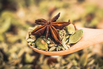 spices for masala on a wooden spoon, anise, fennel, cardamom, cloves. star anise and cinnamon. 