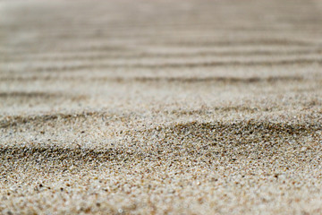 Fototapeta na wymiar sand waves on the dunes of Curonian spit closeup background