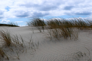 sand dunes with grass and blue cloudly sky, Curonian Spit, Lithuania