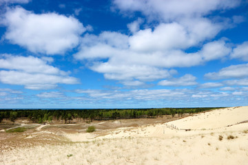 Scenic aerial view of Curonian spit with pine tree forest, sand dunes and bright blue sky