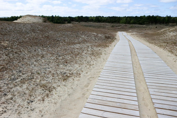 wooden walkway into the sand dunes of Curonian spit, Lithuania