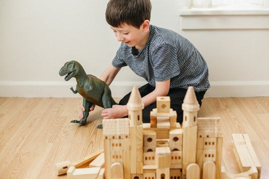 Playing with Dino