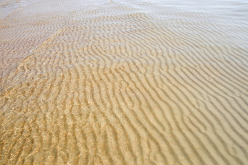 Fototapeta na wymiar Sand texture created by sea waves on beach coast. Sand pattern under soft waves. Sand texture of Baltic sea coast.