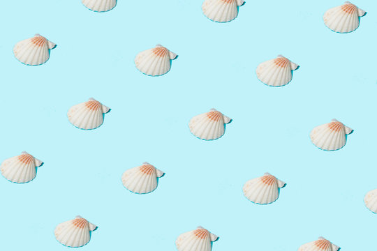 Trendy sunlight Summer pattern made with white sea shell on bright light blue background. Minimal summer concept.