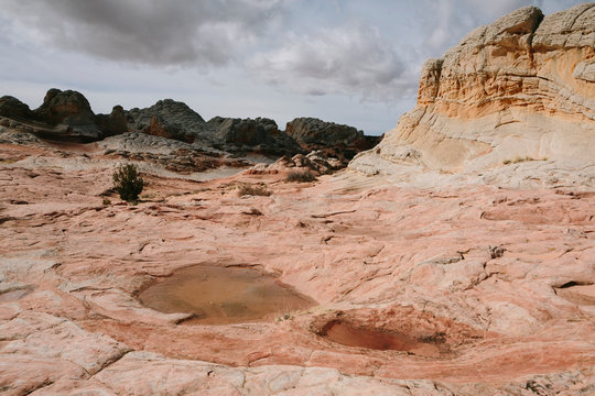 View of eroded sandstone rock formations at dawn, White Pocket, Arizona