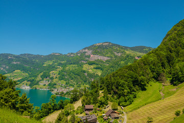 Fototapeta na wymiar Lake of Lucerne. Gersau. Switzerland