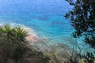 Beach on Skiathos seen trough straw and trees