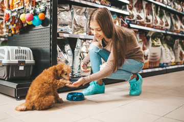 Cute girl with her poodle puppy in pet shop.