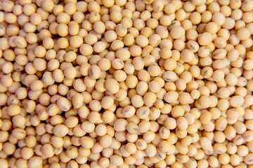 Soybean pattern as background