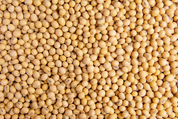 Soybean pattern as background