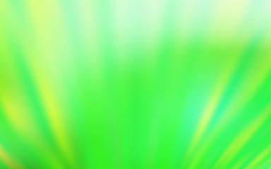 Light Green vector texture with colored lines.