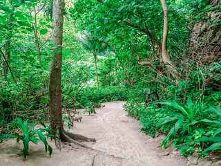 Beautiful Beaches in Thailand (Phi Phi Island, Monkey Beach, Maya Bay)
