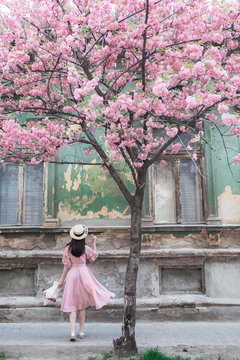 Rear view of young woman walking by cherry blossom tree