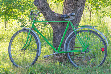 Fototapeta premium Retro bicycle in the summer sunny park