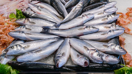 Fresh fish Sea bass and seafood on ice at the fish market