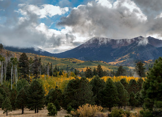 San francisco peaks on a fall day in Northern Arizona.