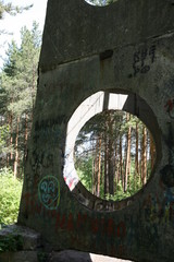 Window to the forest 