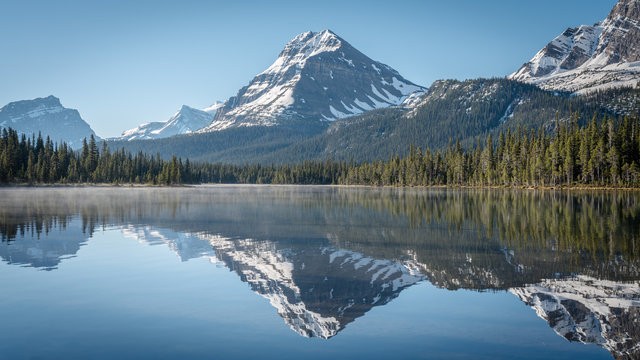Fog stillness and reflection.  Sunrise at Bow Lake.  Rockies.  Canada
