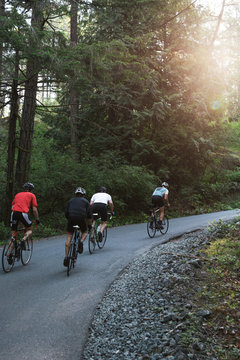 Group road bike ride in nature