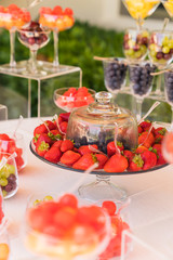 spring / summer appetizer table with fresh fruit cocktails 