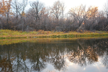 River or lake in early autumn in forest