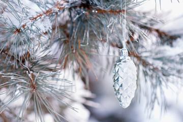 Snow-covered Christmas tree branch and shiny Cones on the background of the forest. Pine Branch With Cones In Snow Stock Photo.