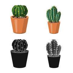 Vector design of cactus and pot symbol. Collection of cactus and cacti stock symbol for web.