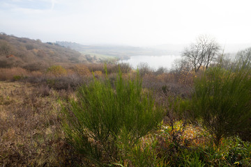 Weinfelder Maar, Eifel