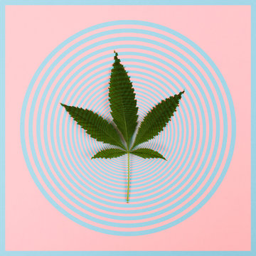 Cannabis Leaf Vertigo