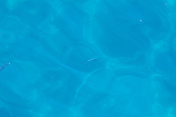 Water Blue Reflection and Fishes