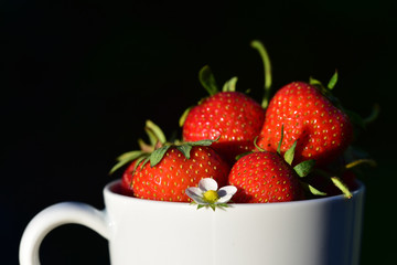 rote frische erdbeeren in einer weißen tasse vor dunklem hintergrund