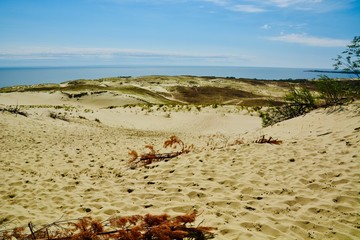 Strand Düne 