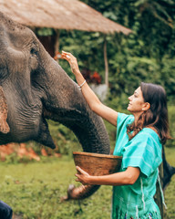 Girl having fun with elephants at Patara Elephant Farm, Chiang Mai, Thailand