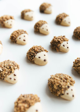 Neatly organized pecan and dark chocolate covered hedgehog cookies on white background