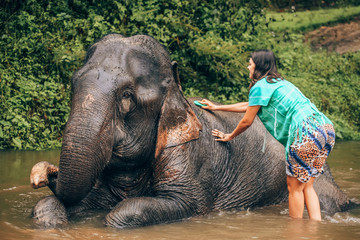 Girl having fun with elephants at Patara Elephant Farm, Chiang Mai, Thailand