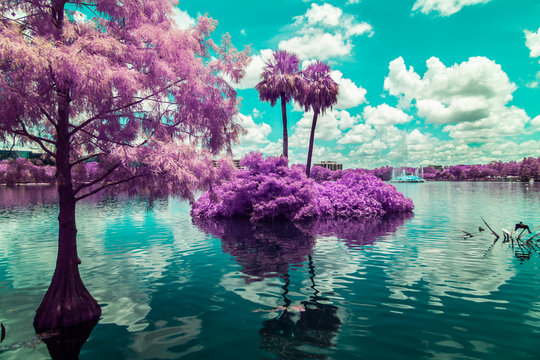 Lake Eola in Downtown Orlando, Florida