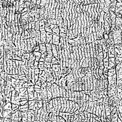 Obraz premium Background pattern gray monochrome. Texture black and white vintage. For cards, invitations, identity, books, advertisement, magazine textile and interior decoration