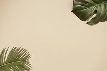 Top view of green tropical leaves on sand color background. Flat lay. Minimal summer concept with...